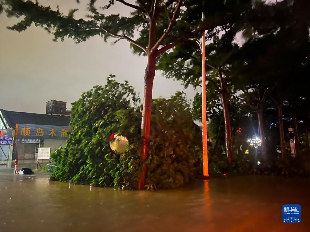 7月17日晚，在廣東湛江海濱大道北，路邊的樹木被風刮倒（手機照片）。新華社記者 鄧華 攝
